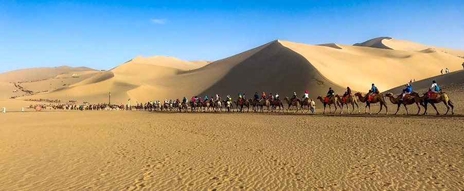 camel pilgrimage