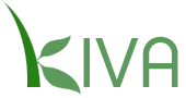 Kiva micro loans