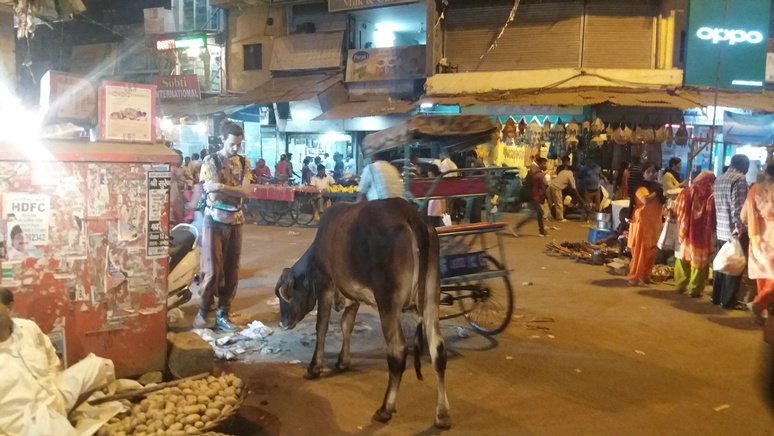Delhi street night