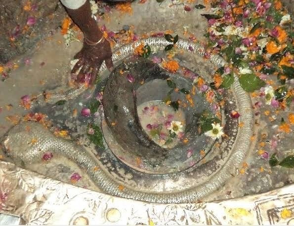 Shivring with flowers